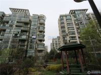南城花园实景图，拍摄于2024/12/9
