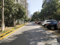 南城花园实景图，拍摄于2024/12/9