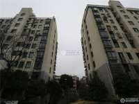 南城花园实景图，拍摄于2024/12/9