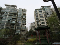 南城花园实景图，拍摄于2024/12/9
