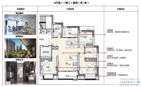 金南花苑户型图，拍摄于2024/5/23