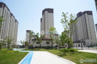 金南花苑实景图，拍摄于2024/5/23