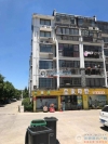 妙桥秀水苑实景图，拍摄于2024/9/10