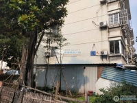 柏林小区实景图，拍摄于2024/9/10