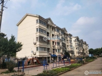柏林小区实景图，拍摄于2024/9/10