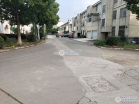 柏林小区实景图，拍摄于2024/9/10