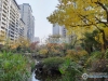 建发御珑湾实景图，拍摄于2024/9/10