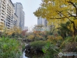 建发·御珑湾实景图，拍摄于2024/9/10