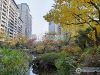 建发御珑湾实景图，拍摄于2024/9/10