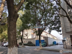 �����ƿ����