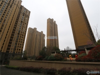 湖悦天境实景图，拍摄于2024/9/11