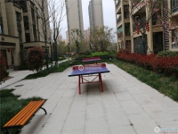 保利珑樾实景图，拍摄于2024/9/11