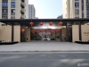 祥生金麟府实景图，拍摄于2024/9/11