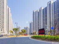 金香花苑实景图，拍摄于2024/9/11
