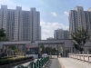 金香花苑实景图，拍摄于2024/9/11