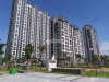 金香花苑实景图，拍摄于2024/9/11