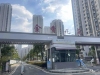 金香花苑实景图，拍摄于2024/9/11