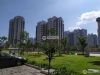 金香花苑实景图，拍摄于2024/9/11