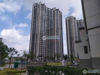 金香花苑实景图，拍摄于2024/9/11