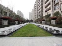 大都会实景图，拍摄于2024/9/11