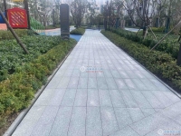 中骏璟悦澜庭实景图，拍摄于2024/9/11