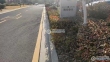 海伦春天实景图，拍摄于2024/9/11