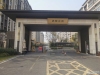 锦鲤花园实景图，拍摄于2024/9/11