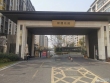 锦鲤花园实景图，拍摄于2024/9/11