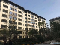新城和樾实景图，拍摄于2024/9/12