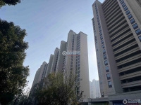 新城和樾实景图，拍摄于2024/9/12