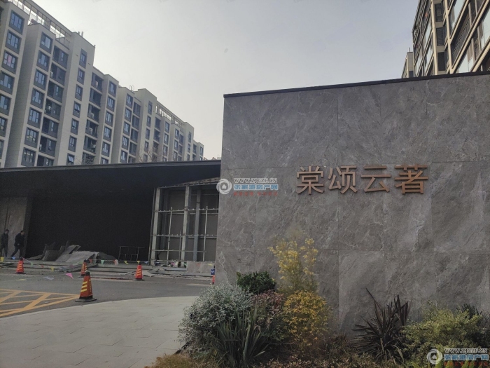 张家港棠颂云著封面图