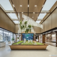 梧桐原实景图，拍摄于2024/9/13