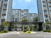 远洋·风景东方实景图，拍摄于2024/9/13