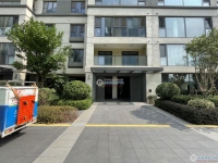 金茂悦(悦湖雅居)实景图，拍摄于2024/9/13