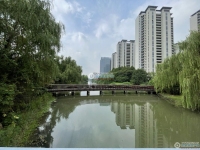 金茂悦(悦湖雅居)实景图，拍摄于2024/9/13