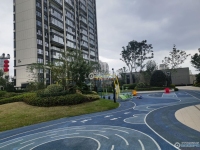 金茂悦(悦湖雅居)实景图，拍摄于2024/9/13