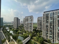 金茂悦(鸣悦棠前雅园)实景图，拍摄于2024/9/13