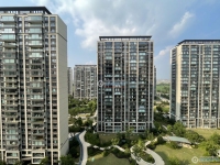 金茂悦(鸣悦棠前雅园)实景图，拍摄于2024/9/13