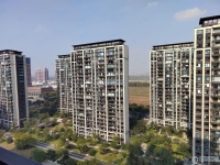 金茂悦(鸣悦棠前雅园)实景图，拍摄于2024/9/13