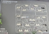 金茂悦(鸣悦棠前雅园)沙盘图，拍摄于2024/9/13