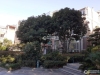 丽景华都丽园实景图，拍摄于2024/9/13