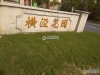 横泾花园实景图，拍摄于2024/9/2