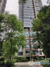 金凤凰温泉逸墅实景图，拍摄于2024/9/2