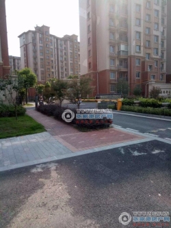 �ټ����´����