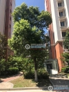 百家桥新村实景图，拍摄于2024/9/2