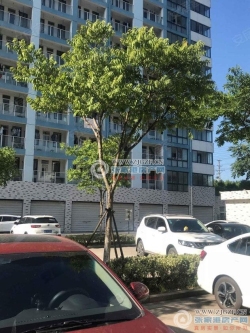 ��ׯ���˲Ź�Ԣ���