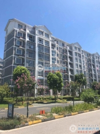 黄金湾小区实景图，拍摄于2024/9/3
