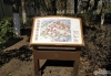 尚城国际实景图，拍摄于2024/9/3