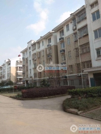 鹿苑和鑫花园实景图，拍摄于2024/9/3