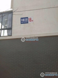 鹿苑和鑫花园实景图，拍摄于2024/9/3